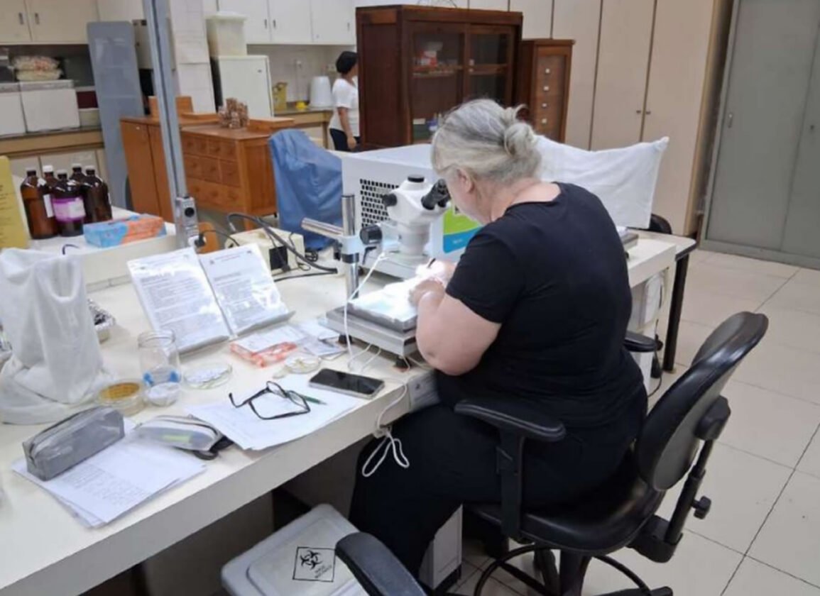 MP barra venda de centro de pesquisa de Tarcísio em SP; entenda