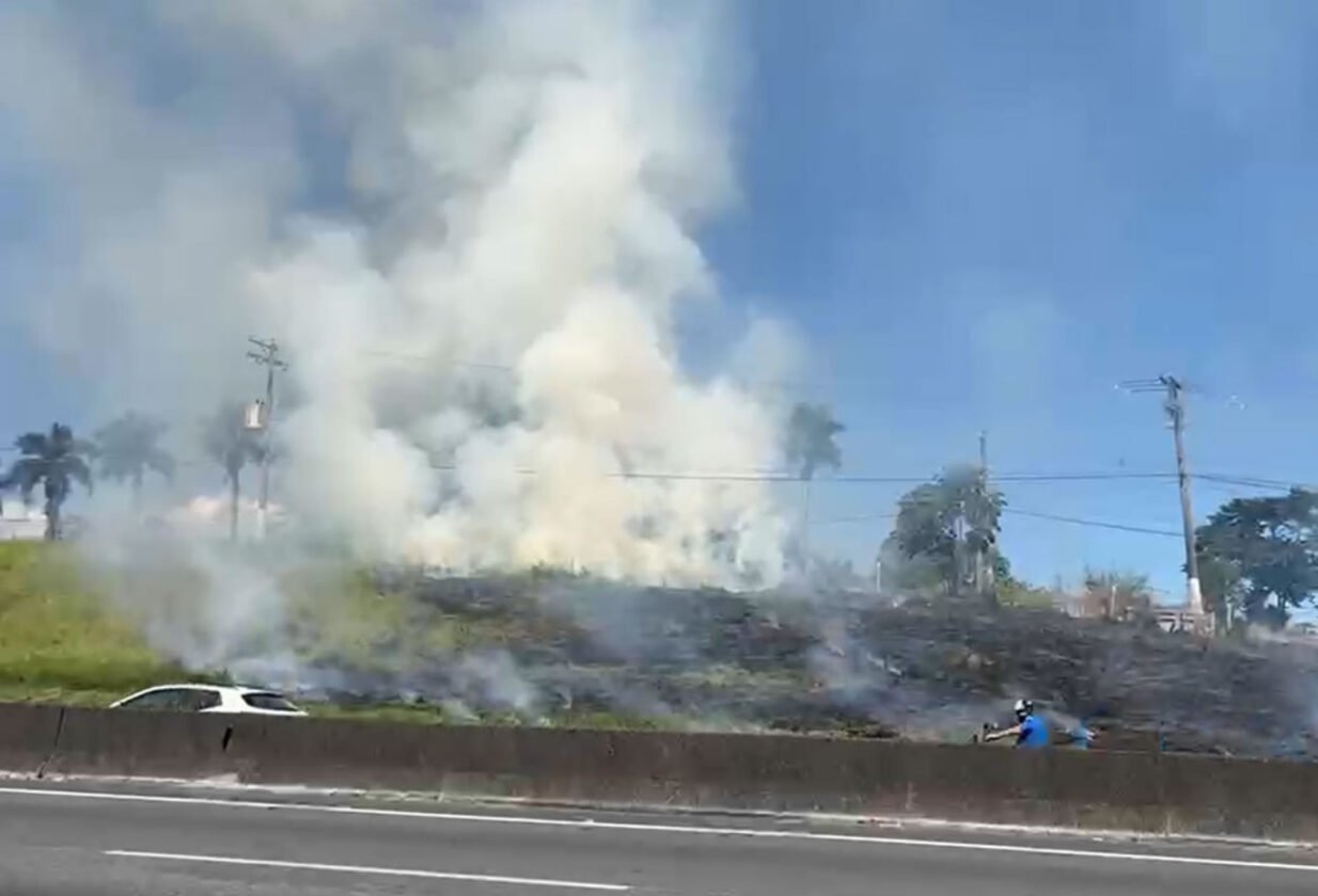 Incêndio na via Dutra atinge vegetação em Caçapava e mobiliza bombeiros